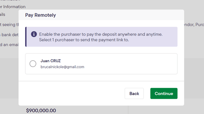 2024_Realtair_Deposist_Pay remotely (1)