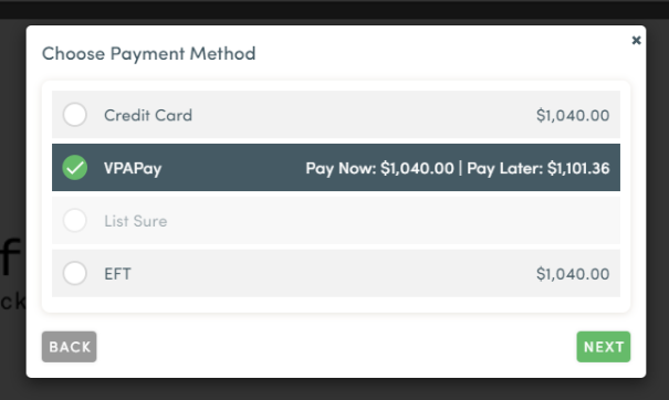 campaign agent-payment processing-vpapay-remote-3